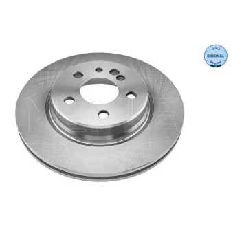 Jeu de 2 disques de frein arrière MEYLE 015 523 2007