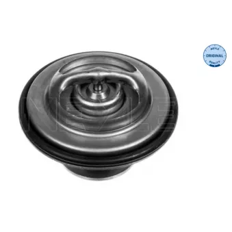 Thermostat, liquide de refroidissement MEYLE 028 271 0005