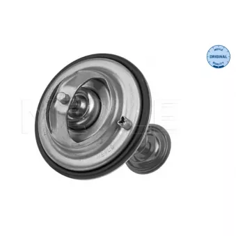 Thermostat, liquide de refroidissement MEYLE 028 280 0007