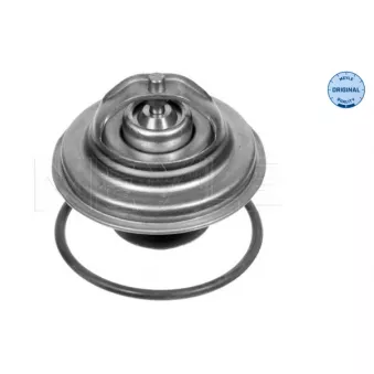 Thermostat, liquide de refroidissement MEYLE 028 287 0005