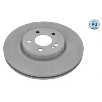 Jeu de 2 disques de frein arrière MEYLE 083 523 1006/PD