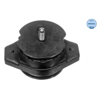 Suspension, boîte automatique MEYLE 100 130 0005