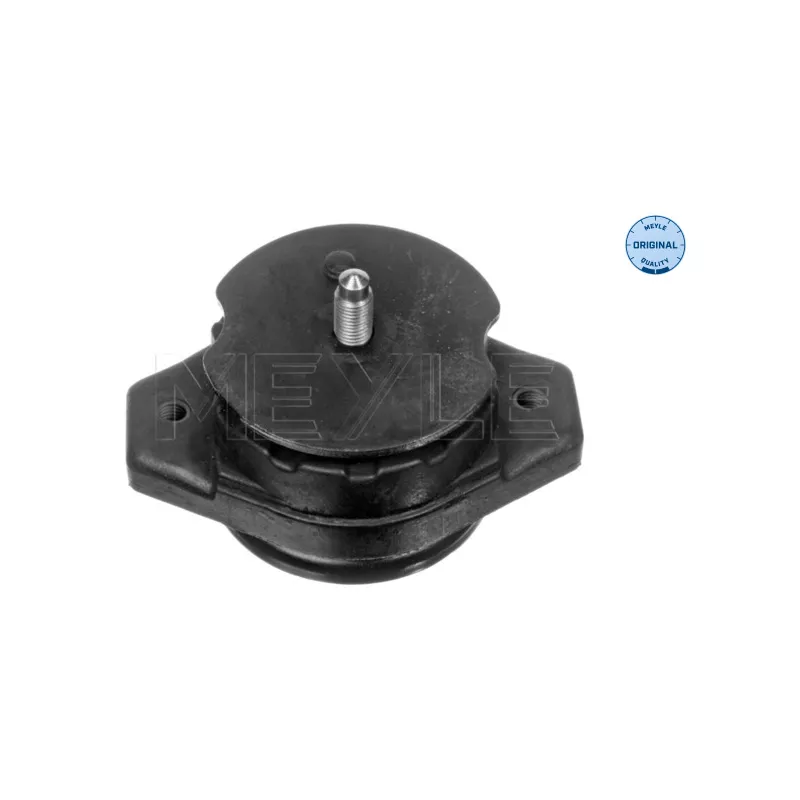 Suspension, boîte automatique MEYLE 100 130 0005