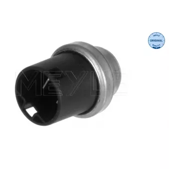 Sonde de température, liquide de refroidissement MEYLE 100 191 0002