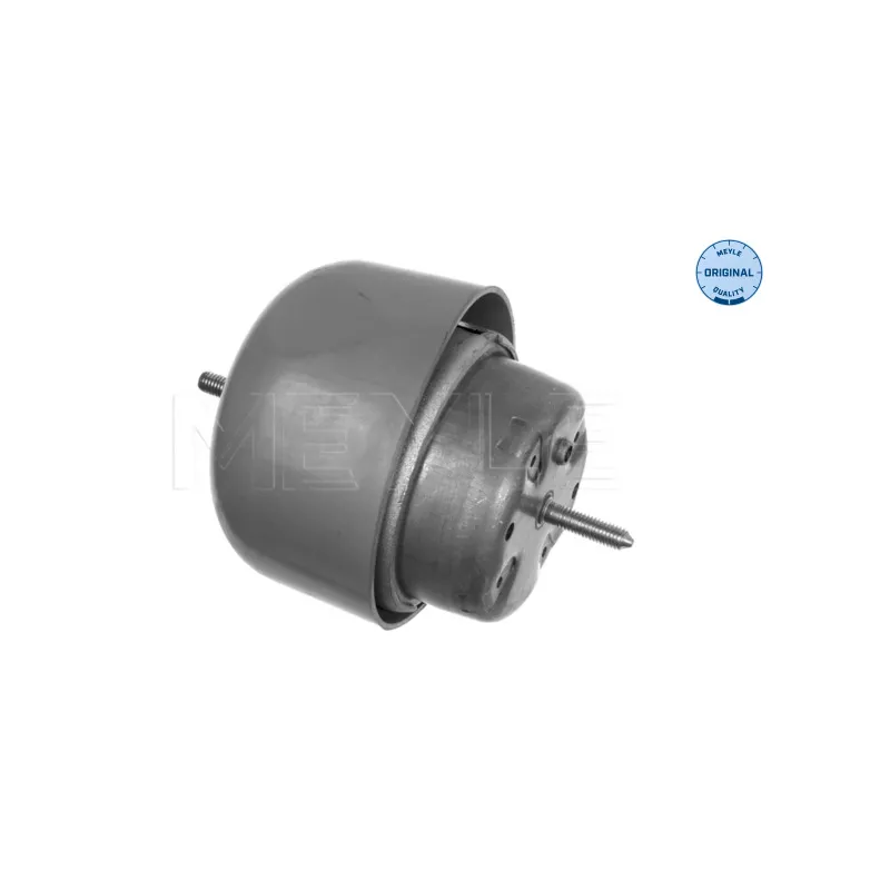 Support moteur avant droit MEYLE 100 199 0048
