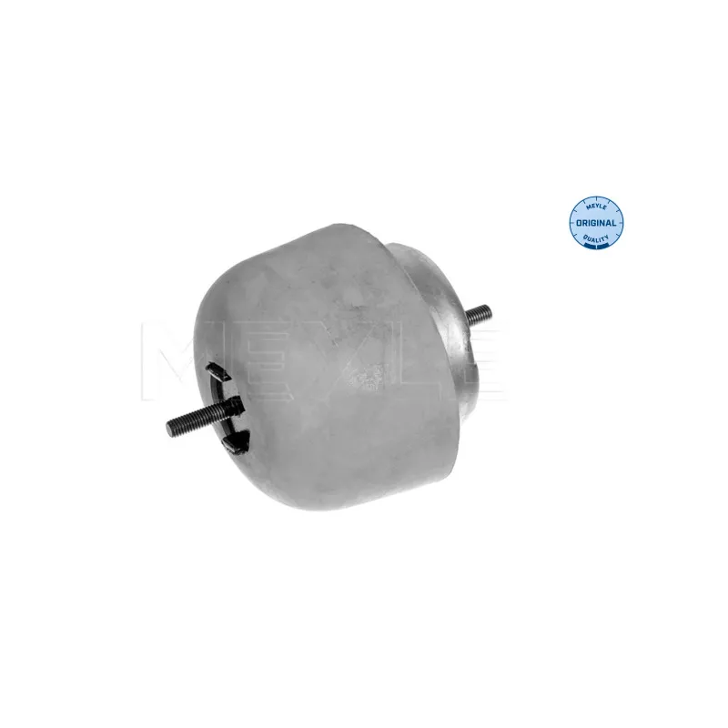 Support moteur MEYLE 100 199 0056
