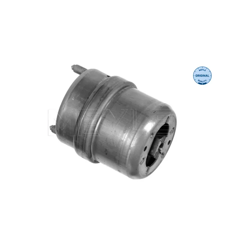Support moteur MEYLE 100 199 0074
