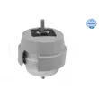 Support moteur MEYLE 100 199 0192 - Visuel 1