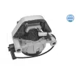 Support moteur MEYLE 100 199 0317 - Visuel 1