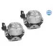 Support moteur MEYLE 100 199 3106/S - Visuel 2