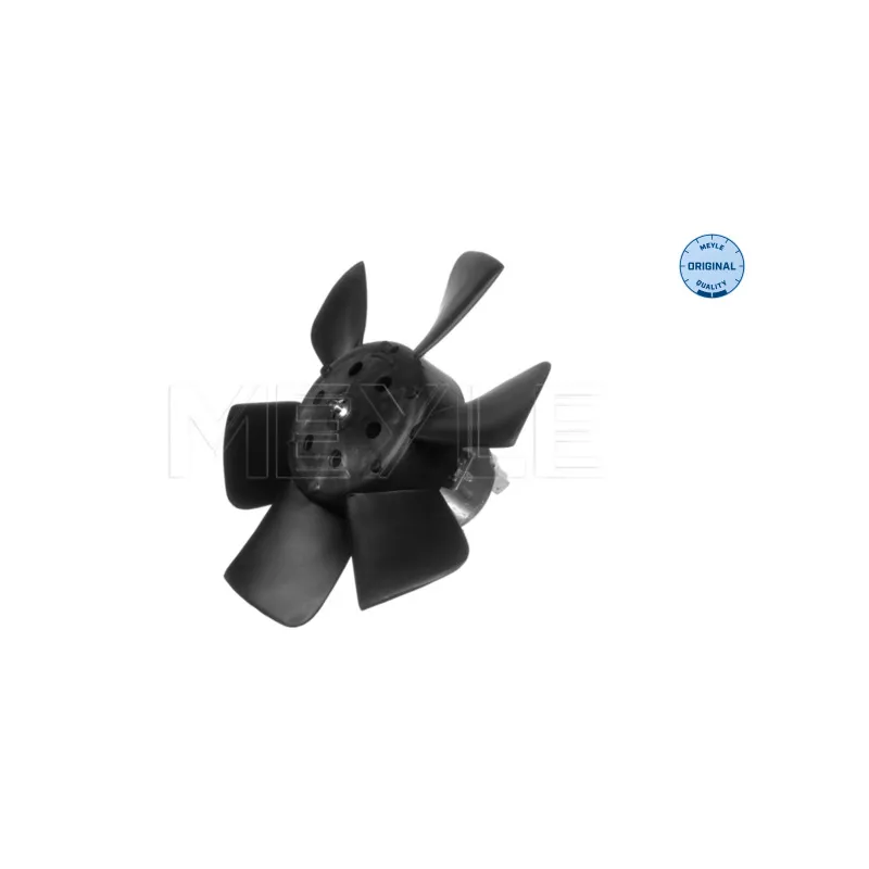 Ventilateur, refroidissement du moteur MEYLE 100 236 0013