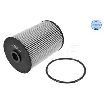 Filtre à carburant MEYLE 100 323 0005