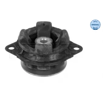 Suspension, boîte automatique MEYLE 100 399 0005