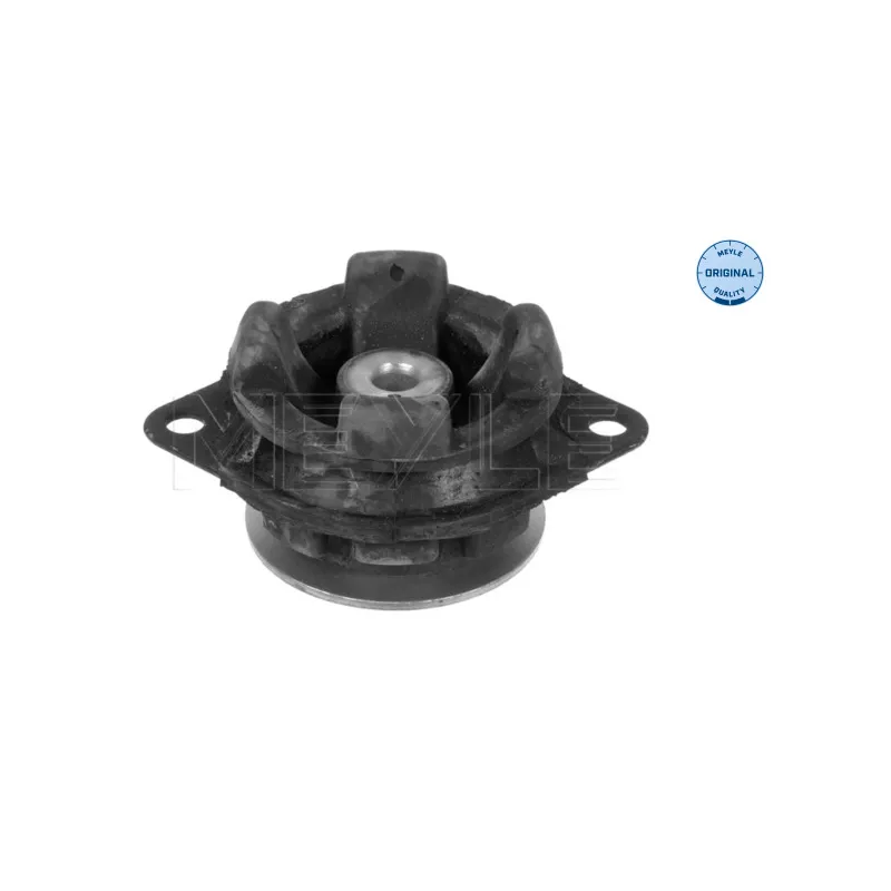 Suspension, boîte automatique MEYLE 100 399 0005