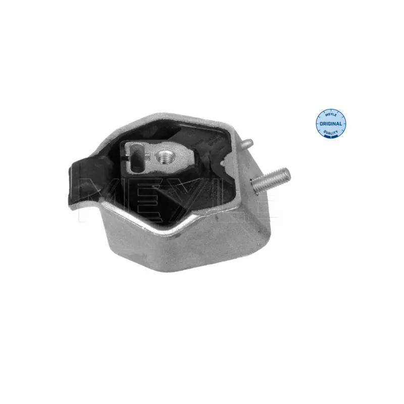 Suspension, boîte automatique MEYLE 100 399 0021