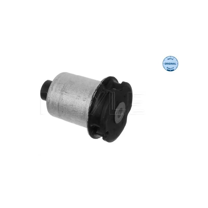 Suspension, corps de l'essieu MEYLE 100 501 0019