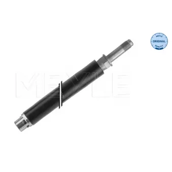 Flexible de frein MEYLE 100 525 0065