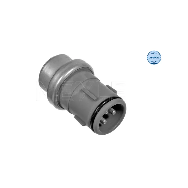 Sonde de température, liquide de refroidissement MEYLE 100 919 0010