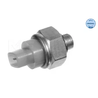 Sonde de température, liquide de refroidissement MEYLE 100 919 0027