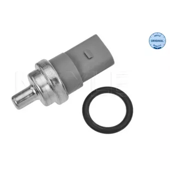 Sonde de température, liquide de refroidissement MEYLE 100 919 0032