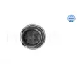 Sonde de température, liquide de refroidissement MEYLE 100 919 0037 - Visuel 2