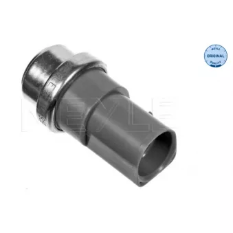 Interrupteur de température, ventilateur de radiateur MEYLE 100 959 0010