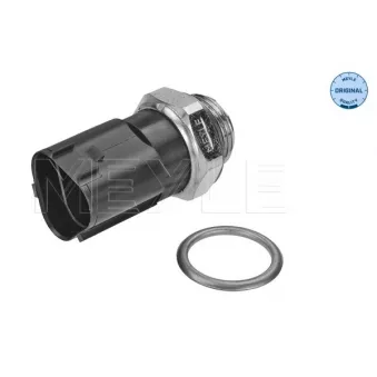 Interrupteur de température, ventilateur de radiateur MEYLE 100 959 0016