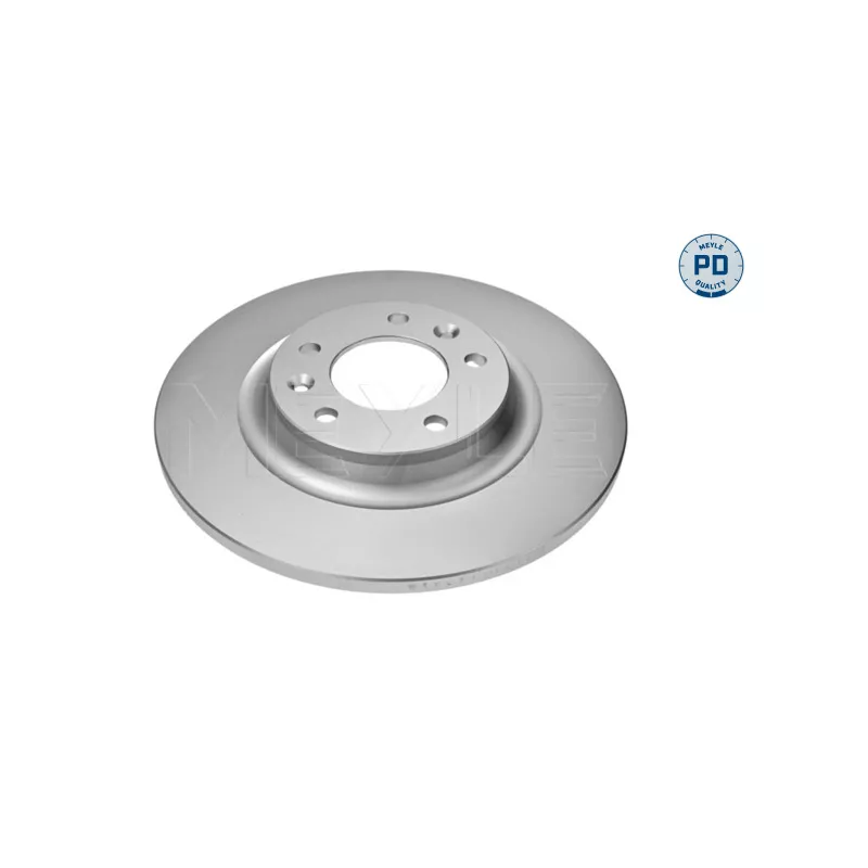 Jeu de 2 disques de frein arrière MEYLE 11-15 523 0009/PD