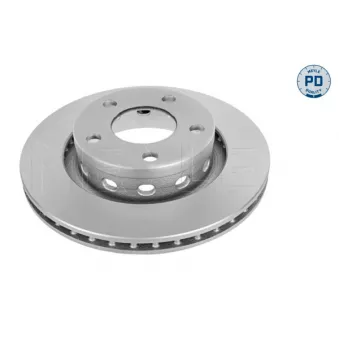 Jeu de 2 disques de frein arrière MEYLE 115 523 0008/PD