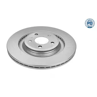 Jeu de 2 disques de frein arrière MEYLE 115 523 0009/PD