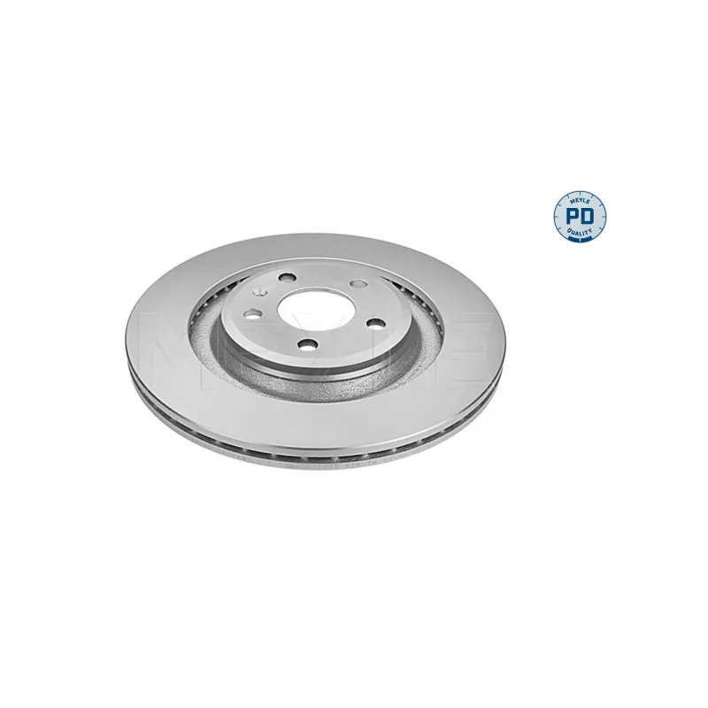 Jeu de 2 disques de frein arrière MEYLE 115 523 0009/PD
