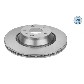 Jeu de 2 disques de frein arrière MEYLE 115 523 0011/PD