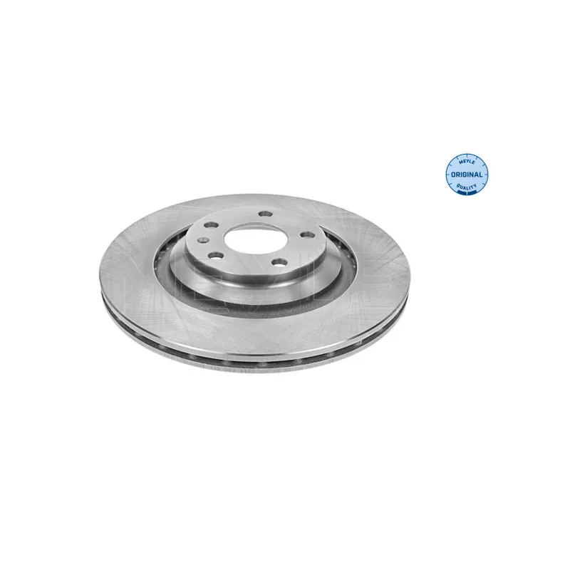 Jeu de 2 disques de frein arrière MEYLE 115 523 0028