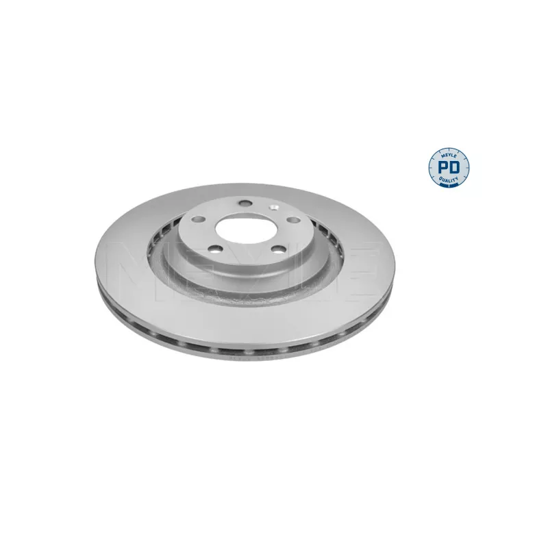Jeu de 2 disques de frein arrière MEYLE 115 523 0028/PD
