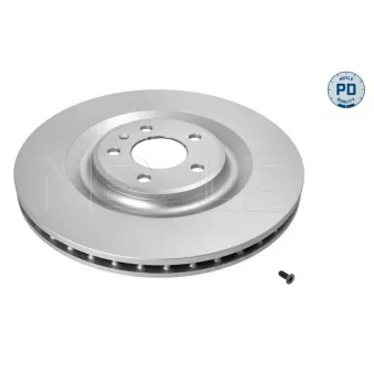 Jeu de 2 disques de frein arrière MEYLE 115 523 0045/PD