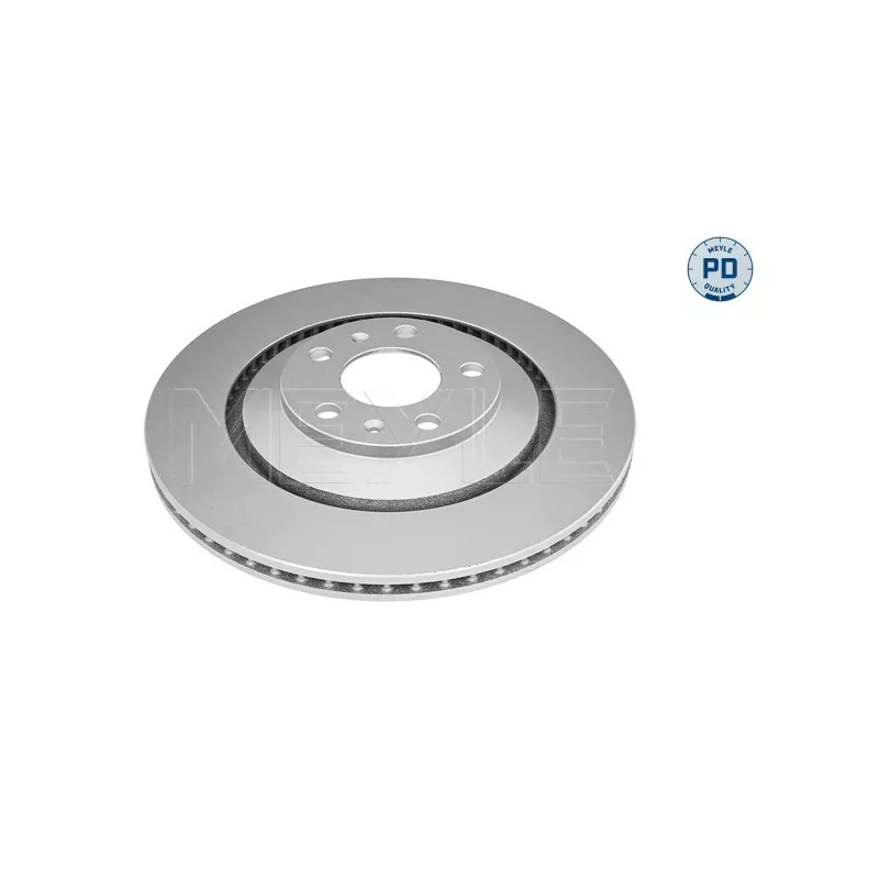 Jeu de 2 disques de frein arrière MEYLE 115 523 1098/PD