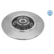 Jeu de 2 disques de frein arrière MEYLE 16-15 523 4103 - Visuel 2