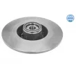 Jeu de 2 disques de frein arrière MEYLE 16-15 523 4106 - Visuel 2