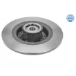 Jeu de 2 disques de frein arrière MEYLE 16-15 523 4113 - Visuel 2