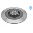 Jeu de 2 disques de frein arrière MEYLE 16-15 523 4120 - Visuel 2