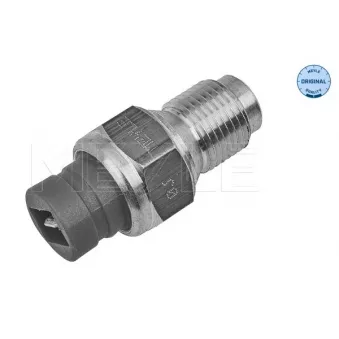 Sonde de température, liquide de refroidissement MEYLE 214 821 0002