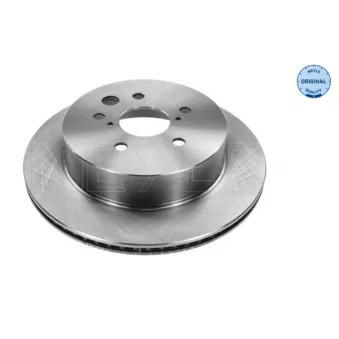 Jeu de 2 disques de frein arrière MEYLE 30-15 523 0036