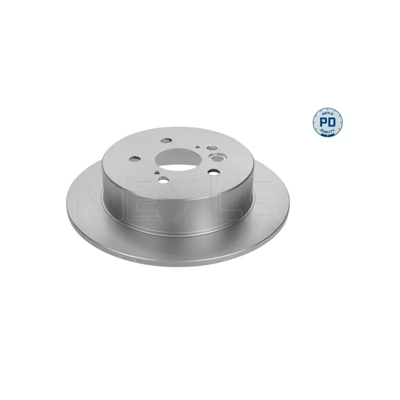Jeu de 2 disques de frein arrière MEYLE 30-15 523 0101/PD