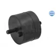 Support moteur MEYLE 300 118 1101 - Visuel 1