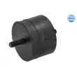 Support moteur MEYLE 300 118 1101 - Visuel 2