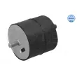 Support moteur MEYLE 300 118 1120 - Visuel 1