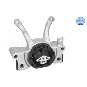 Suspension, boîte automatique MEYLE 300 118 1132
