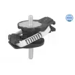 Suspension, boîte automatique MEYLE 300 221 0172 - Visuel 1