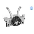 Suspension, boîte automatique MEYLE 300 221 1171 - Visuel 1