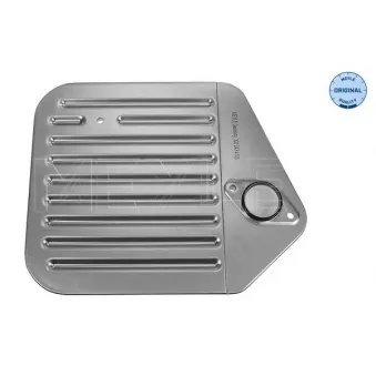Filtre hydraulique, boîte automatique MEYLE 300 243 4105